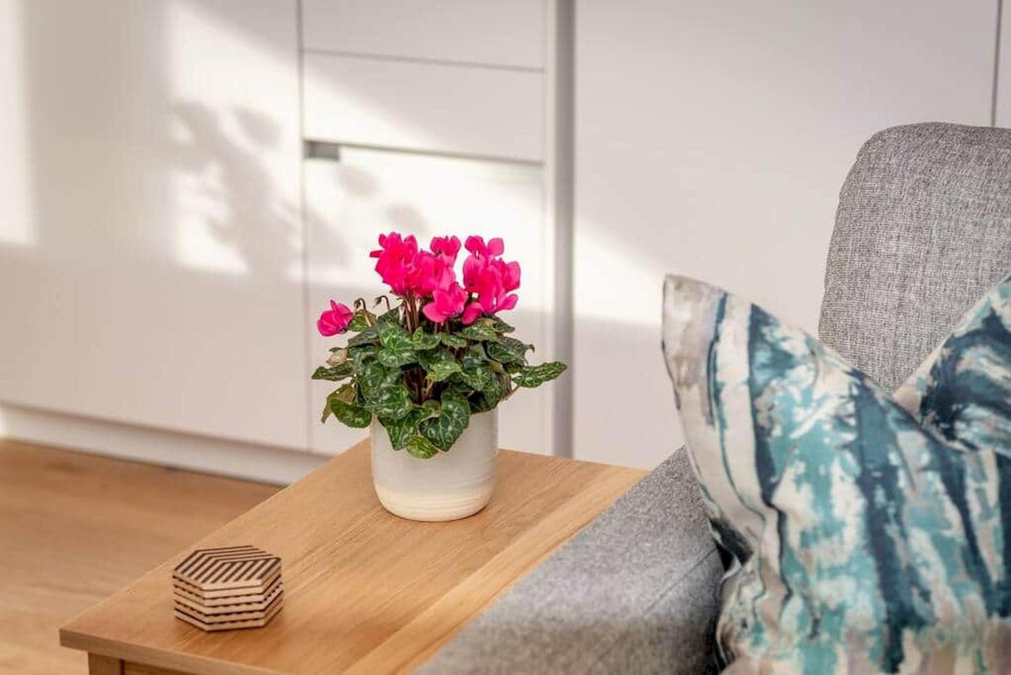 Lade Braes Apartments - No 22D セント・アンドルーズ エクステリア 写真